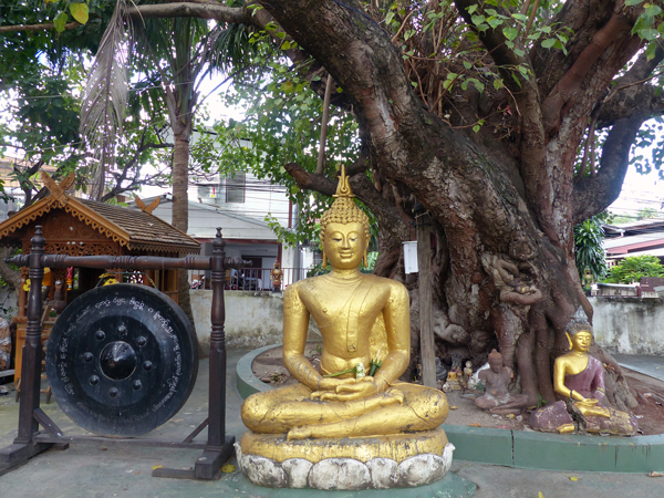 Buddha in Wat Pan Waen - Front View