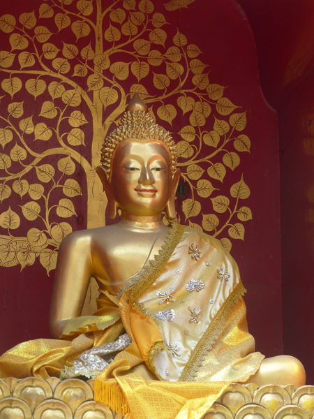Bodhi tree with Buddha in Wat Pan On